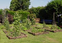 flower border edging